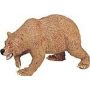 Grizzly Bear