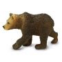 Grizzly Bear Cub