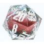 Large D20 55mm Snow Globe Silver Ink