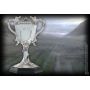 Harry Potter- Triwizard Cup Replica 20 cm