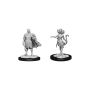 D&D Nolzur's Marvelous Miniatures: Autumn Eladrin & Summer Eladrin