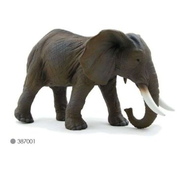 African Elephant