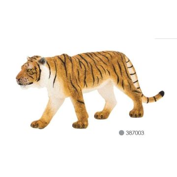 Bengal Tiger