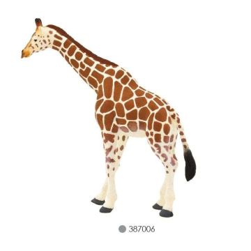 Giraffe Female