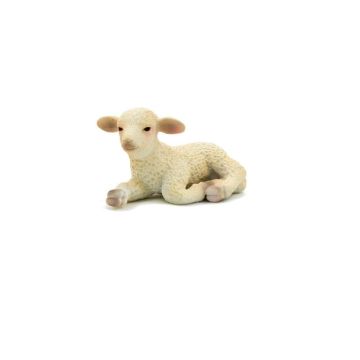 Lamb Laying Down
