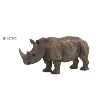 White Rhinoceros