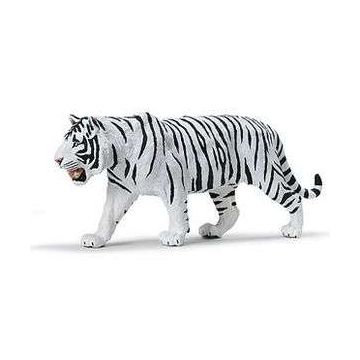 White Siberian Tiger