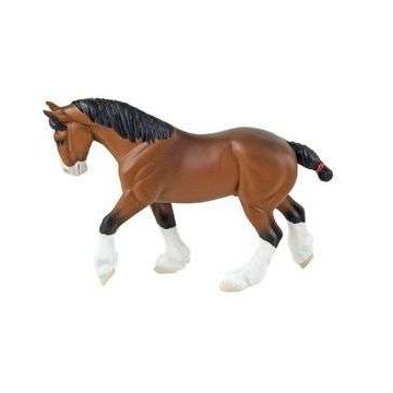 Clydesdale Adult