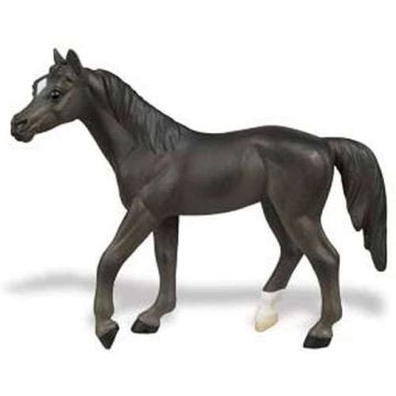 Farm Arabian Adult