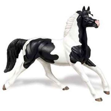 Pinto Mustang