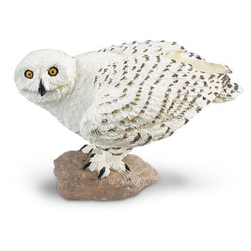Snowy Owl
