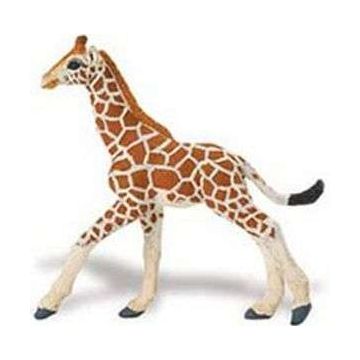Giraffe Baby
