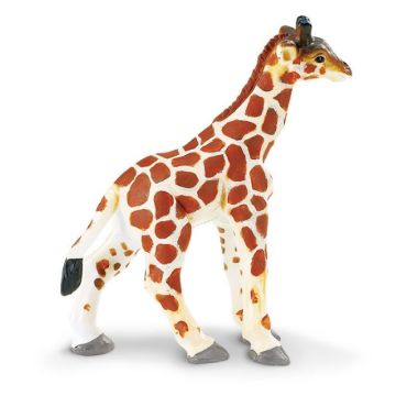 Giraffe Baby
