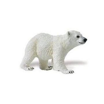 Polar Bear Cub
