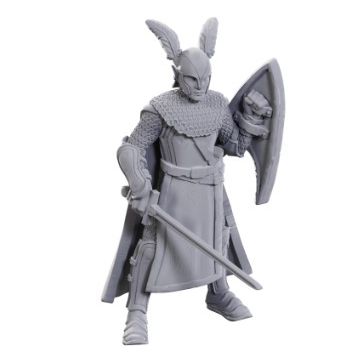 D&D Nolzur's Marvelous Miniatures: ltd 50th anniversary- Elves (2)